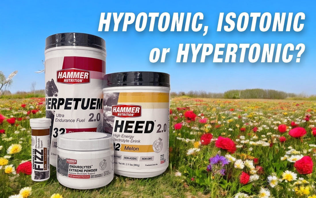 A Sportitalok Világa: Hipotóniás, Izotóniás és Hipertóniás Frissítők - Hammer Nutrition CEE