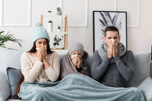 Clear Day: Természetes támogatás a légúti egészségért, megfázás és influenza idején - Hammer Nutrition CEE