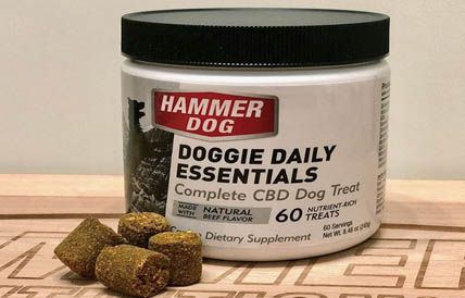Edzés plusz négy lábbal - Hammer Nutrition CEE