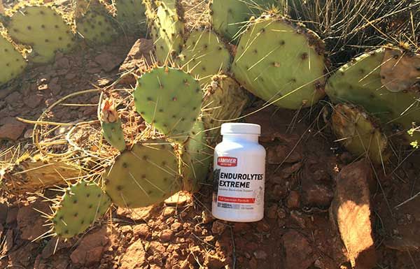 Elektrolit feltöltés! Velünk könnyű jól frissíteni! - Hammer Nutrition CEE