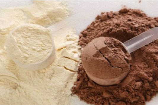 Ismerd meg jobban a fehérjét! - Hammer Nutrition CEE
