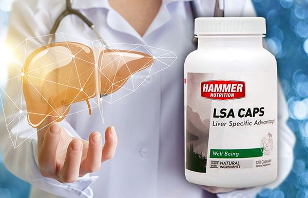 LSA kapszulák az alapvető májfunkciók ellátásához! - Hammer Nutrition CEE