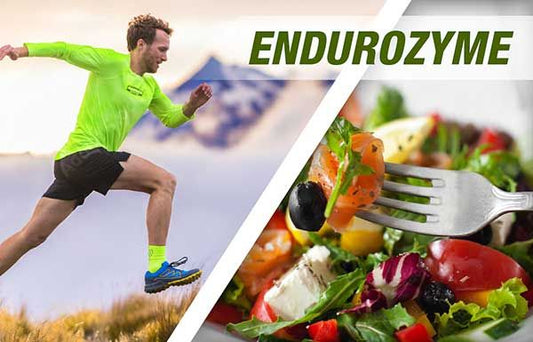 Megfelelő emésztés, optimális tápanyag felszívódás - Hammer Nutrition CEE