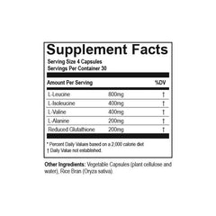 Hammer Nutrition Endurance BCAA+ kapsule s aminokiselinama