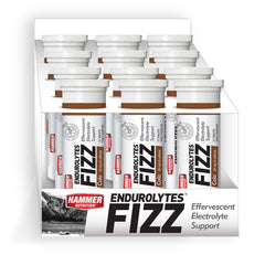 Hammer Nutrition Endurolytes Fizz šumeće tablete s elektrolitima
