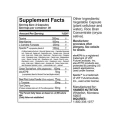 Hammer Nutrition Fully Charged formula prije treninga – infografika sastojaka