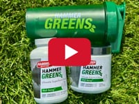 Hammer Greens - Superfood Supplement